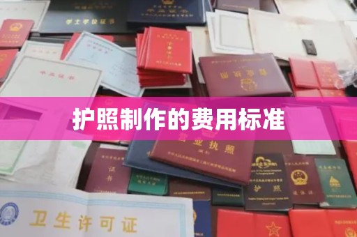 独山子护照制作的费用标准